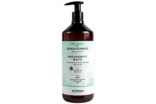 Artègo RD Renaissance...