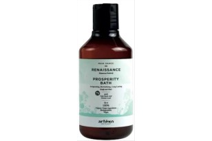 Artègo RD Renaissance...