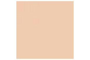 BellaOggi Instayoung... 2