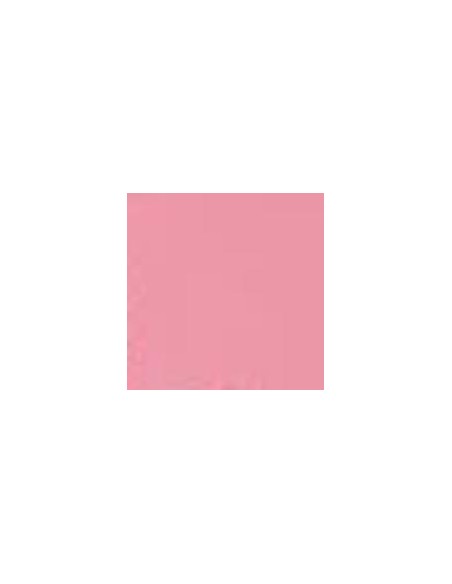 BellaOggi Volume Boost Balsamo Labbra Rimpolpante Spicy Rosehip 4,7 ml