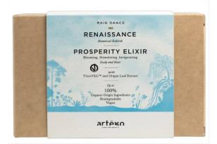 Artègo Renaissance...