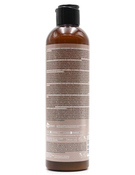 Nook Magic Arganoil Discipline Shampoo anticrespo 250 ml 