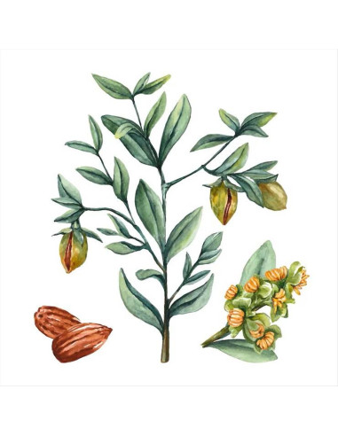 Artègo 02 Color glow care set mantenimento...