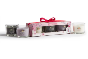 Yankee Candle Snow Globe...