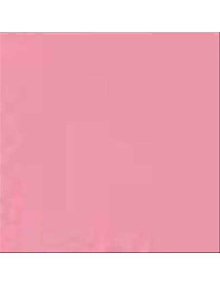 BellaOggi Volume Boost Balsamo Labbra Rimpolpante Spicy Rosehip 4,7 ml